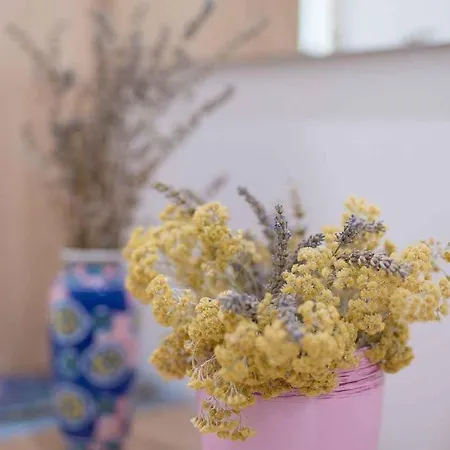 In - Insel Krk 38395 *